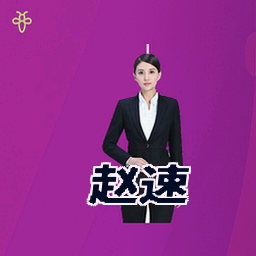 赵速